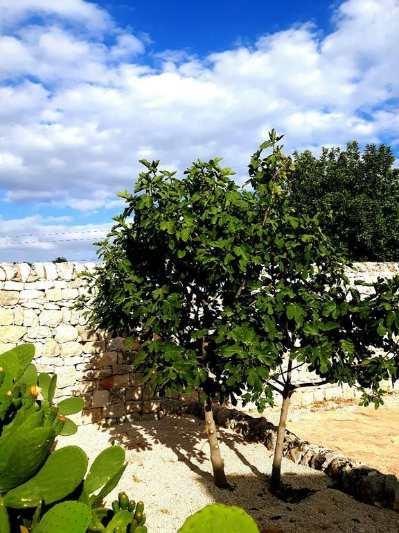 Masseria Ciancio Casa Serrafiori Ngoại thất bức ảnh